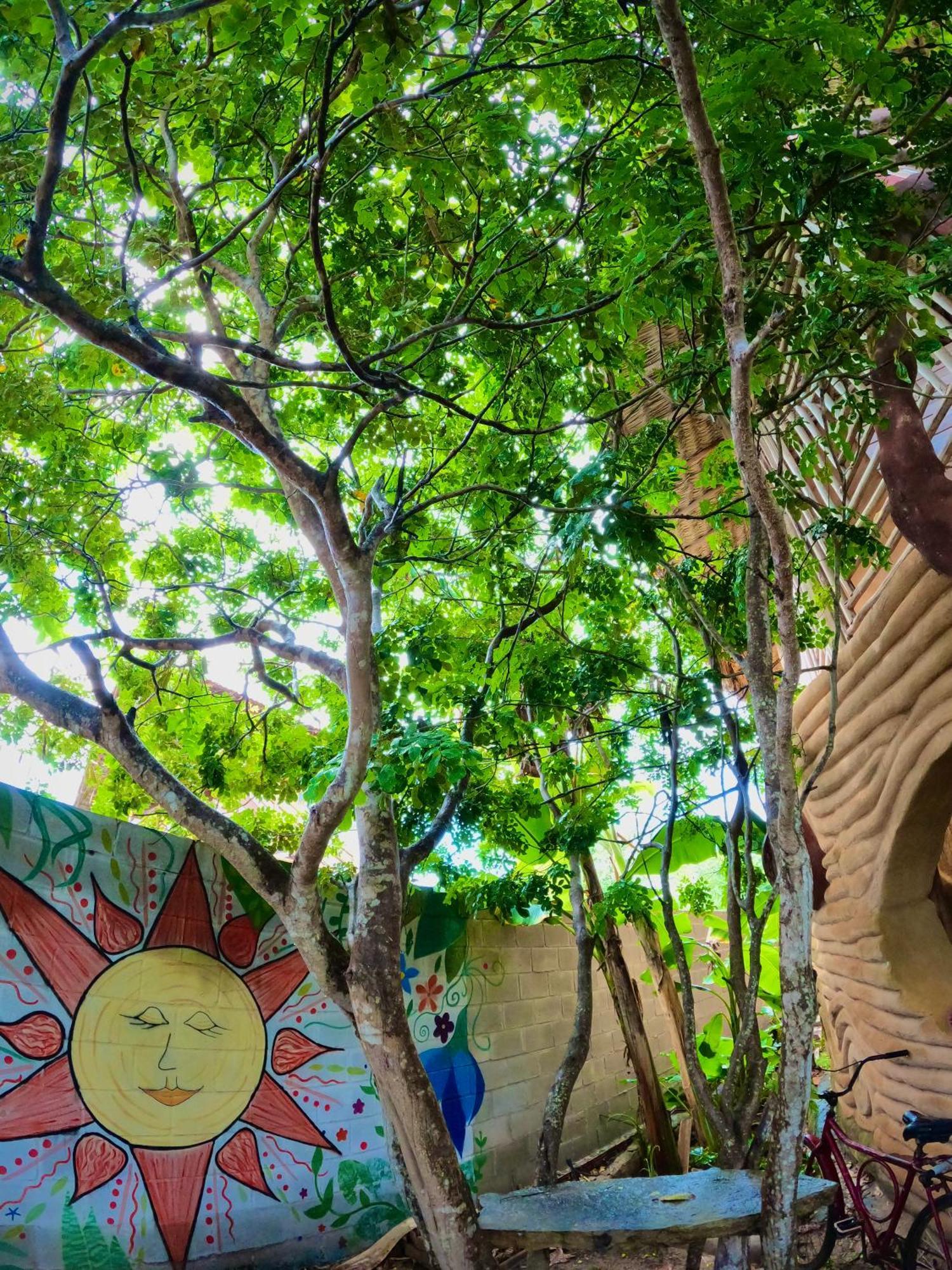 Raizes Eco Hostel Барра-Гранде Экстерьер фото