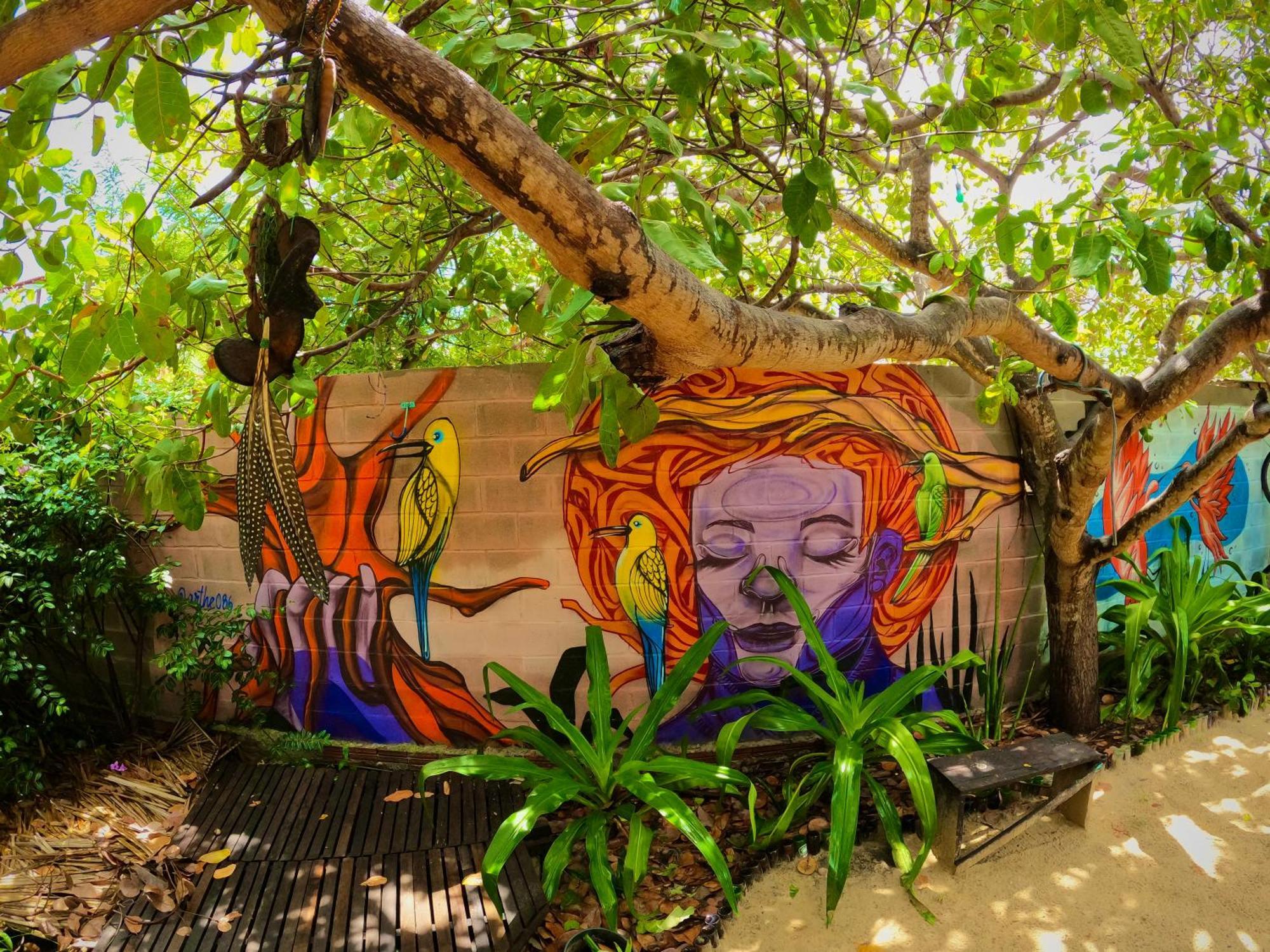 Raizes Eco Hostel Барра-Гранде Экстерьер фото